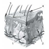 0201izbx-2e7c-200x200.png