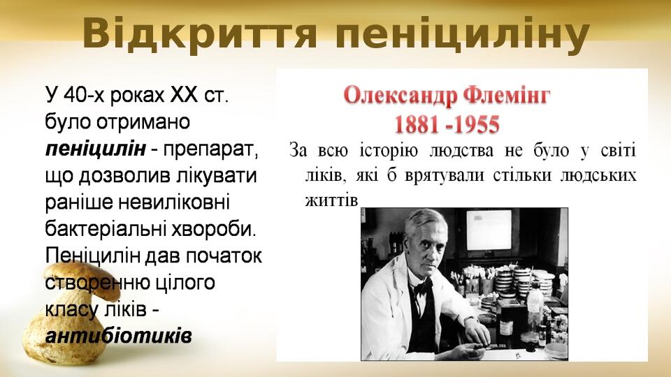 Відкриття пеніциліну
