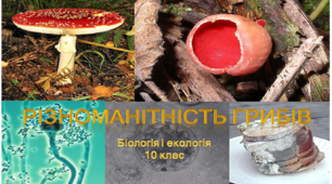 Презентація "Царство Гриби. Різноманітність грибів"