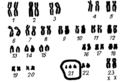 0201izpv-1a59-128x82.png