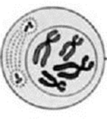 0201izzk-7879-107x124.png