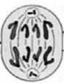0201izzs-7512-92x119.png