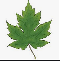 0201j00c-5c12-210x213.png