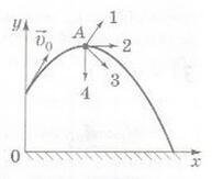 0201j5ev-0ea3-193x163.jpg