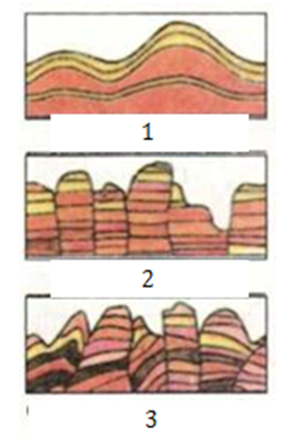 0201j966-25fb-260x401.png