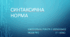 Контрольна робота з української мови №2 (11 клас)  Синтаксична норма. (Word)
