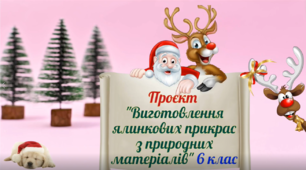 Проєкт "Виготовлення ялинкових прикрас з природних матеріалів" 6 клас