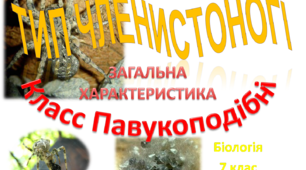Презентація "Клас Павукоподібні. Загальна характеристика"