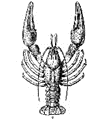 0201jdkn-7eef-93x121.png