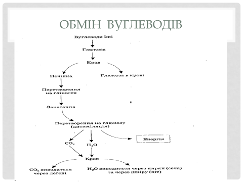 0201je6s-f6a6-480x360.png