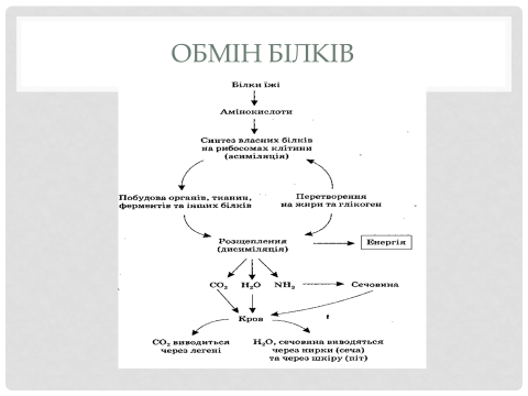 0201je7g-9452-480x360.png