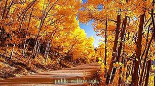 0201je8j-60f5-306x171.jpg
