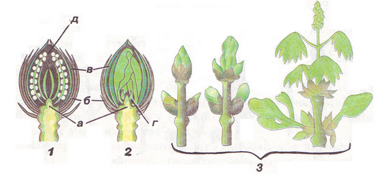 0201jefn-5907-662x325.png