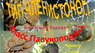 Презентація "Клас Павукоподібні. Внутрішня будова"