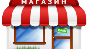 Дидактична гра "Де це можна купити?" для дітей середньої та старшої групи
