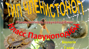 Презентація "Клас Павукоподібні. Різноманітність павукоподібних"