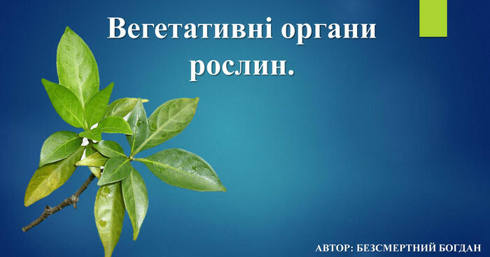 Тестування: ⁣⁣Вегетативні ⁣⁣органи ⁣⁣рослини.