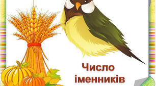 Презентація "Число іменників. Іменники, що мають форми тільки однини або тільки множини"