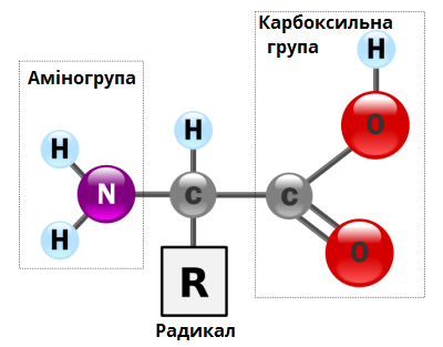 0201jkxb-19f9-673x527.png