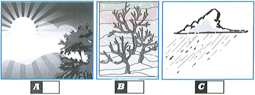 0201jm42-1049-525x197.png