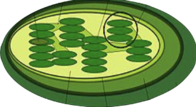 0201jnbw-aa33-196x107.png