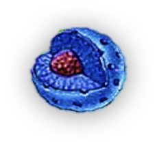 0201jnc8-7526-229x214.png