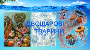 Презентація "Царство Тварини. Двошарові тварини"