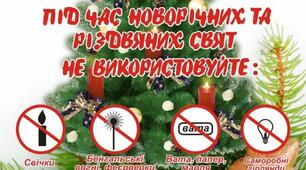 Стаття. Тема: "Правила безпечної поведінки під час святкування новорічних свят !"