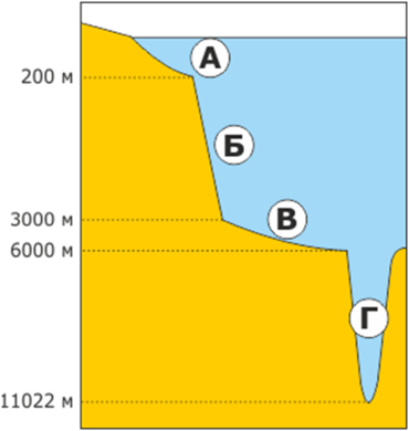 0201jrb0-9d1d-370x390.png