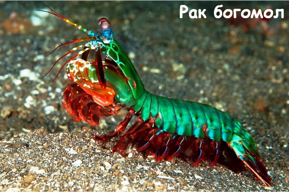 0201jrne-6c7a-940x626.png