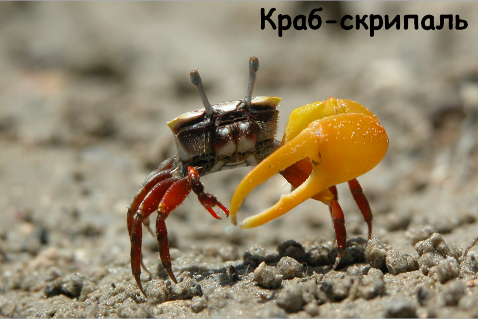0201jrni-5646-940x627.png