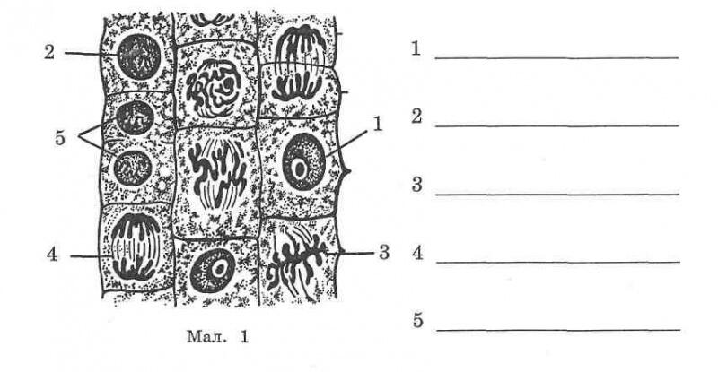 0201jtwj-3173-800x415.jpg