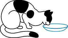 0201jvyp-9162-238x134.png