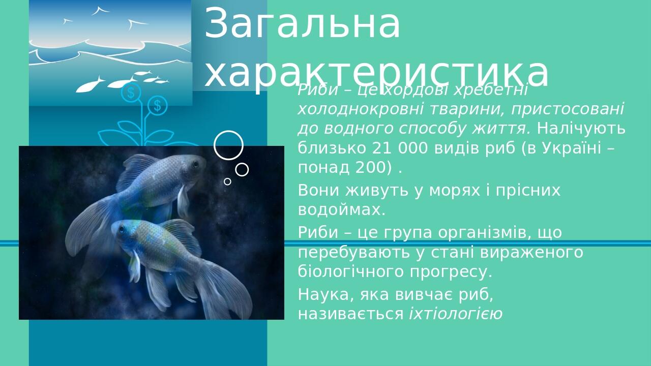 Загальна характеристика Риби – це хордові хребетні холоднокровні тварини, пристосовані до водного способу життя. Налічують близько 21 000 видів риб...