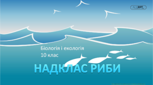 Презентація "Царство Тварини. Надклас Риби"