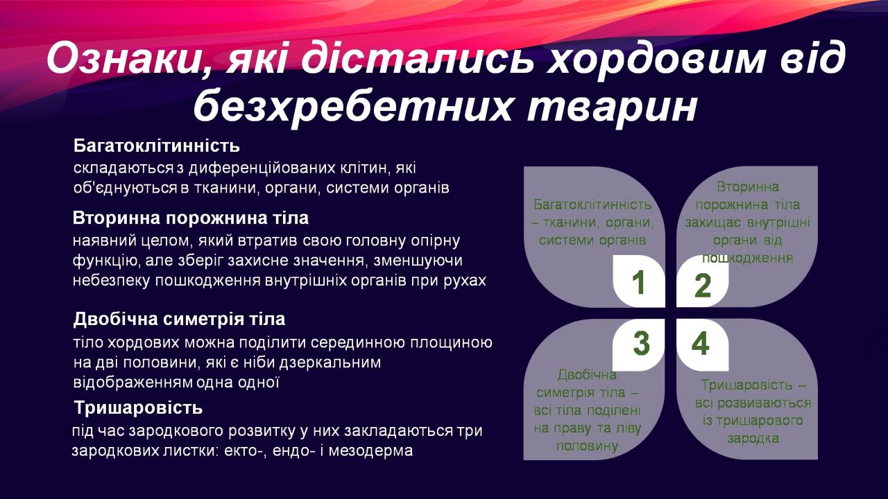 BASIC LAYOUT
