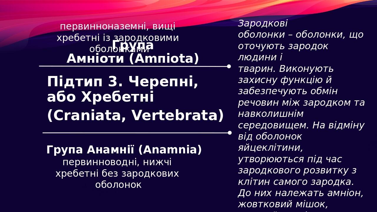 Підтип 3. Черепні, або Хребетні (Craniata, Vertebrata) Група Анамнії (Anamnia) Група Амніоти (Amпiota)  первинноводні, нижчі хребетні без зародкови...
