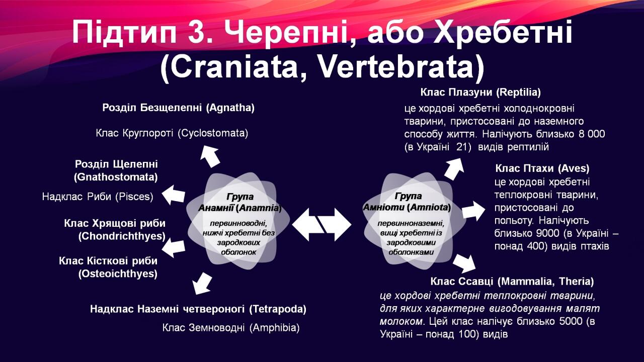 BASIC LAYOUT
