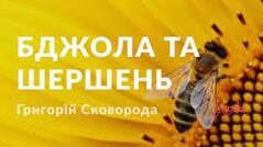 0201k0eb-d927-239x134.jpg