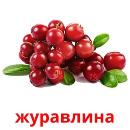 0201k0me-39ca-259x259.jpg