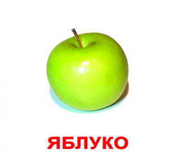 0201k0n0-6875-250x229.jpg