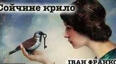 Новела  Івана Франка" Сойчине крило"