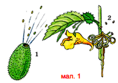 0201k0pk-092c-456x322.png