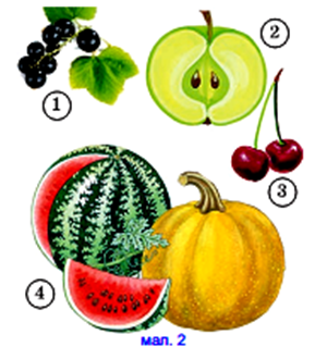 0201k0r9-1cdc-467x515.png
