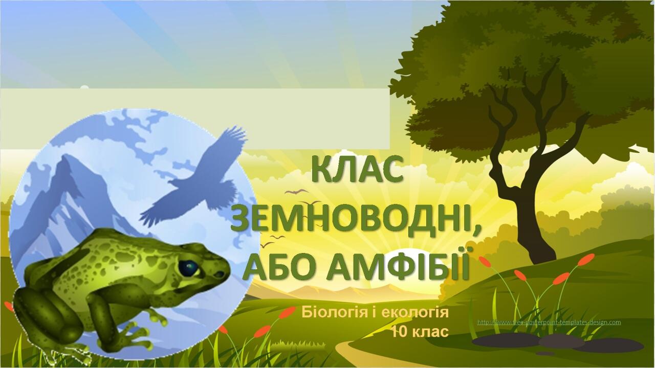 PNG LAYOUT