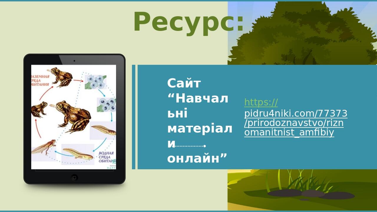 Ресурс: https://pidru4niki.com/77373/prirodoznavstvo/riznomanitnist_amfibiy Сайт “Навчальні матеріали онлайн” Place Your Picture Here BASIC LAYOUT