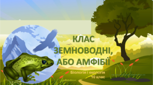 Презентація "Тип Хордові Тварини. Клас Земноводні"