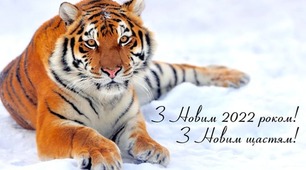 Зустрічаємо рік Тигра