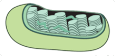 0201k4yr-e938-224x109.png