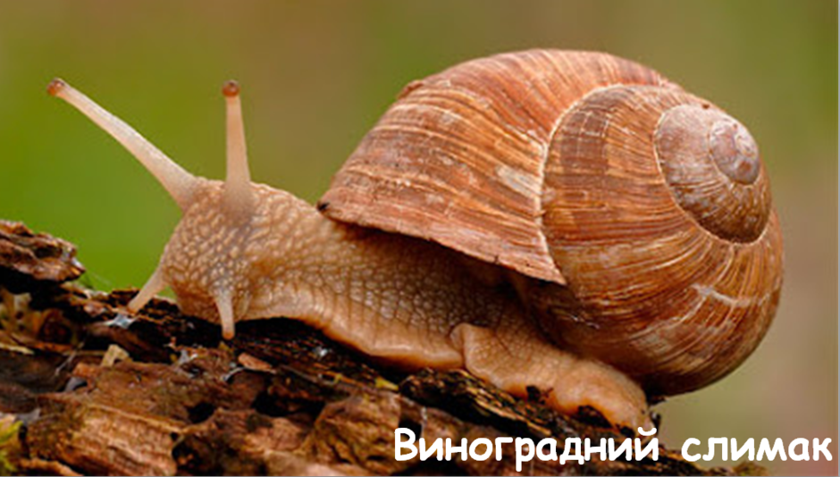 0201k661-aeb6-940x534.png